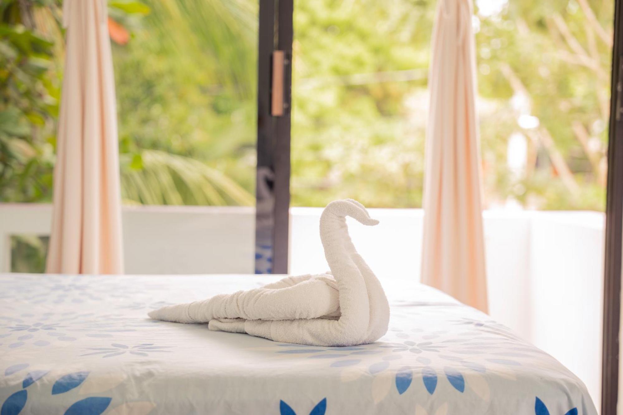 Hotel Palmarito Puerto Escondido  Exteriér fotografie